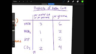 Krebs Cycle AP BIOLOGY [upl. by Tap]