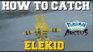 HOW TO CATCH ELEKID IN POKEMON LEGENDS ARCEUS ELEKID LOCATION [upl. by Relluf585]