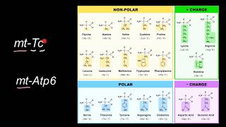 Guidelines for Formatting Gene and Protein Names 3 [upl. by Mani]