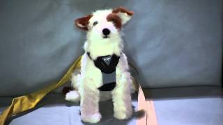 Center for Pet Safety Harness Test [upl. by Landan]