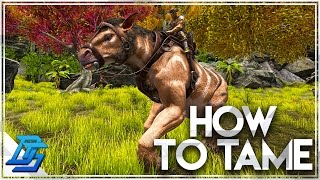 How To Tame A Chalicotherium  Ark Survival Evolved [upl. by Harrod]