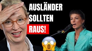 Alice Weidel Das war nicht schlau [upl. by Fredkin]