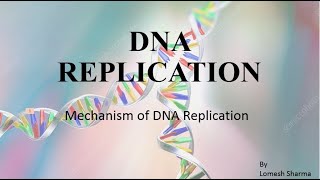 DNA REPLICATION Mechanism HPU BSc 3rd Year [upl. by Warton]