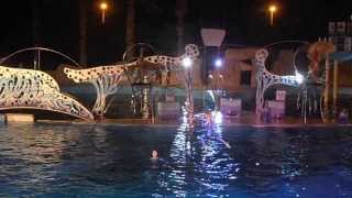 Marineland Antibes Spectacle Nocturne des Dauphins quot Sign quot [upl. by Aseela]