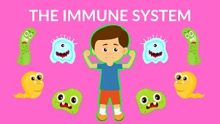 The Immune System Video  How to boost your Immunity  What is immune system and its function [upl. by Jerold]