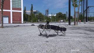 Ghost Robotics Early DirectDrive Prototypes Provocative Outdoor Behaviors Sep2016 [upl. by Materse]