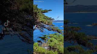 Carmel  Point Lobos California [upl. by Ettennat]