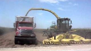 Silage Harvesting in USA Video [upl. by Rorie]