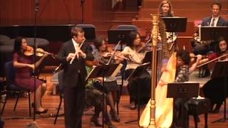 Mozart Concerto for Flute amp Harp Mvt 2 Höskuldsson Hoffman Met Players [upl. by Ecinom848]