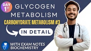 glycogen metabolism biochemistry  glycogenesis biochemistry  glycogenolysis biochemistry [upl. by Harras]