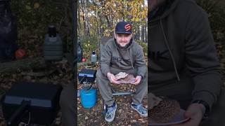 Sarniak sosnowy food obiad jedzenie fishing grzyby outdoors [upl. by Chiquia]