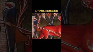 El temible bonnacon un animal mítico que tenía un extraño ataque [upl. by Ecertap]