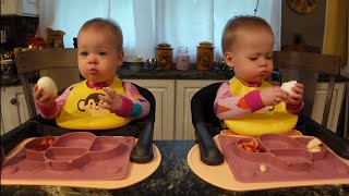 Twins try a whole hard boiled egg [upl. by Lyrad]