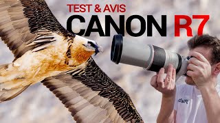 Test du Canon R7  le meilleur pour lanimalier [upl. by Dong927]