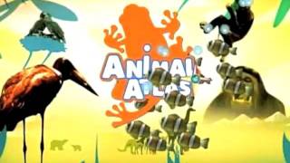 ANIMAL ATLAS Main Title [upl. by Frodeen]