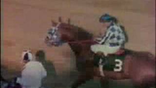 SECRETARIAT  1973 Preakness Stakes Recap [upl. by Rebmaed]