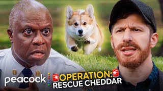 Brooklyn NineNine  Jake Goes Undercover to Help Captain Holt Save Cheddar [upl. by Rihaz]