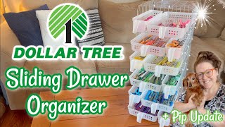 SLIDING DRAWER Organizer  Easy Organization Idea  Dollar Tree DIY  Pip Update [upl. by Eidurt]