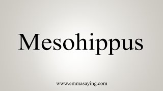 How To Say Mesohippus [upl. by Shirk]