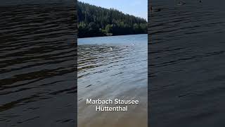 Abkühlung am Marbach Stausee Hüttenthal Odenwald 💦 [upl. by Dduj]