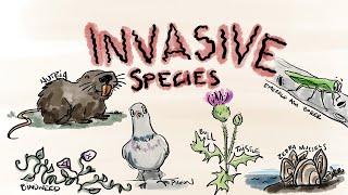 What Are Invasive Species [upl. by Eirrol]