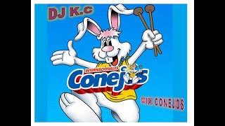 MIX CUMBIA INTERNACIONALES CONEJOS DJ KC 2021 [upl. by Assirehs]