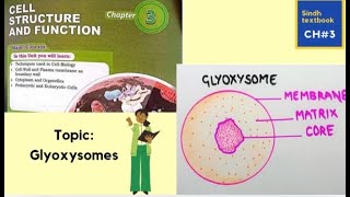 Glyoxysomes l cell structure and function l XI biology [upl. by Limoli569]