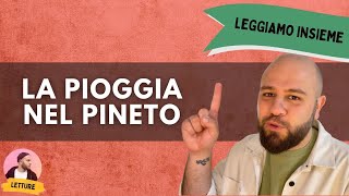 Leggiamo insieme DANNUNZIO  quotLa pioggia nel pinetoquot [upl. by Ranilopa]