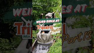 Weird rides at Tripsdrill Part 13  Baby Log Flume [upl. by Bridie27]