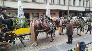 Fürth Michaelis Kirchweih 2024  Festzug Hammer Genial Spaß Bier 🍻🍺✅ [upl. by Seve159]