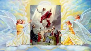 Holy Rosary  Glorious Mysteries  Wednesday amp Sunday [upl. by Akenit242]