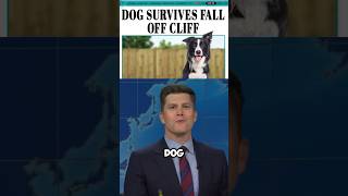 A DOG SURVIVES🤯 shorts snl weekendupdate [upl. by Jacoba]