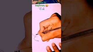 how to draw nephron step by step viralvideo trendingshorts shortsfeed drawing [upl. by Marsh]