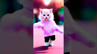 dancing cat 😻  cat dancevideo catvideos cuteanimal catvideos shorts catdance [upl. by Westfahl180]