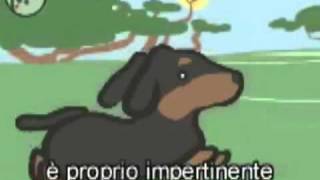 Il cane pufoente e la sua morte [upl. by Doy]