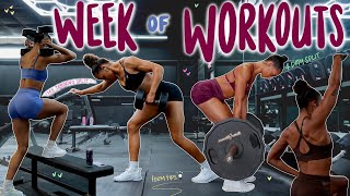 MY WEEKLY TRAINING ROUTINE  4 Day Split  What has built my muscles [upl. by Ellives680]