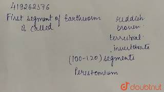 Ist segment of earthworm is called ……………   CLASS 11  STRUCTURAL ORGANISATION IN ANIMALS  BI [upl. by Patman754]