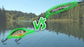 Crankbaits VS Jerkbaits IN DEPTH [upl. by Keeryt]