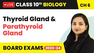 Thyroid Gland amp Parathyroid Gland  Control and Coordination  Class 10 Biology Chapter 6 LIVE [upl. by Oona789]