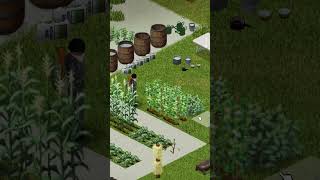 5 Farming Tips for Project Zomboid shorts [upl. by Yelir30]