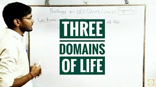 Three Domains of Life [upl. by Euqnomod584]