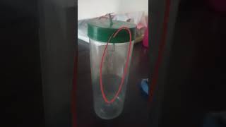 Electroscope is working electroscope scienceexperiment experiment [upl. by Ailaza]