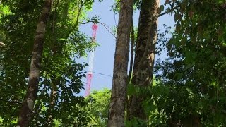 Amazonie inauguration dune tour dobservation de 325 m [upl. by Bushweller17]