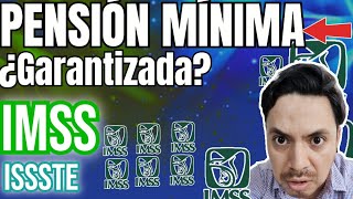 🗣️PENSIÓN IMSS Ley 73 Pensión Mínima 2024 lo que NADIE te explica 😱 también ley 97 🤑 [upl. by Petta]