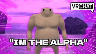 VRCHAT BRAINROT MOMENTS MORE VRCHAT PREDATORS [upl. by Airamzul]