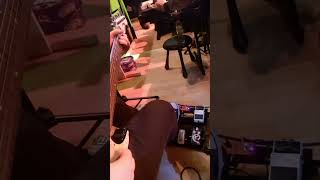 Legally Blonde  Entracte  Whipped Into Shape  Guitat Pit Cam [upl. by Anairb]