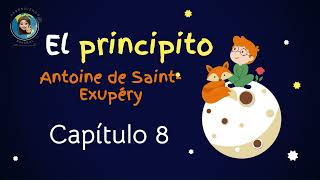 Audiolibro El principito Capitulo 8 Antoine de Saint Exupéry [upl. by Radley730]