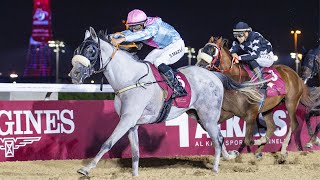 RM14 Al Rayyan RACE7 Muaither Cup [upl. by Aleusnoc342]