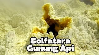 Keindahan Solfatara Kawah Gunung Api Papandayan [upl. by Taam]