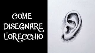 COME DISEGNARE LORECCHIO [upl. by Jew]